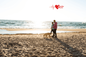 Dog walk on the beach