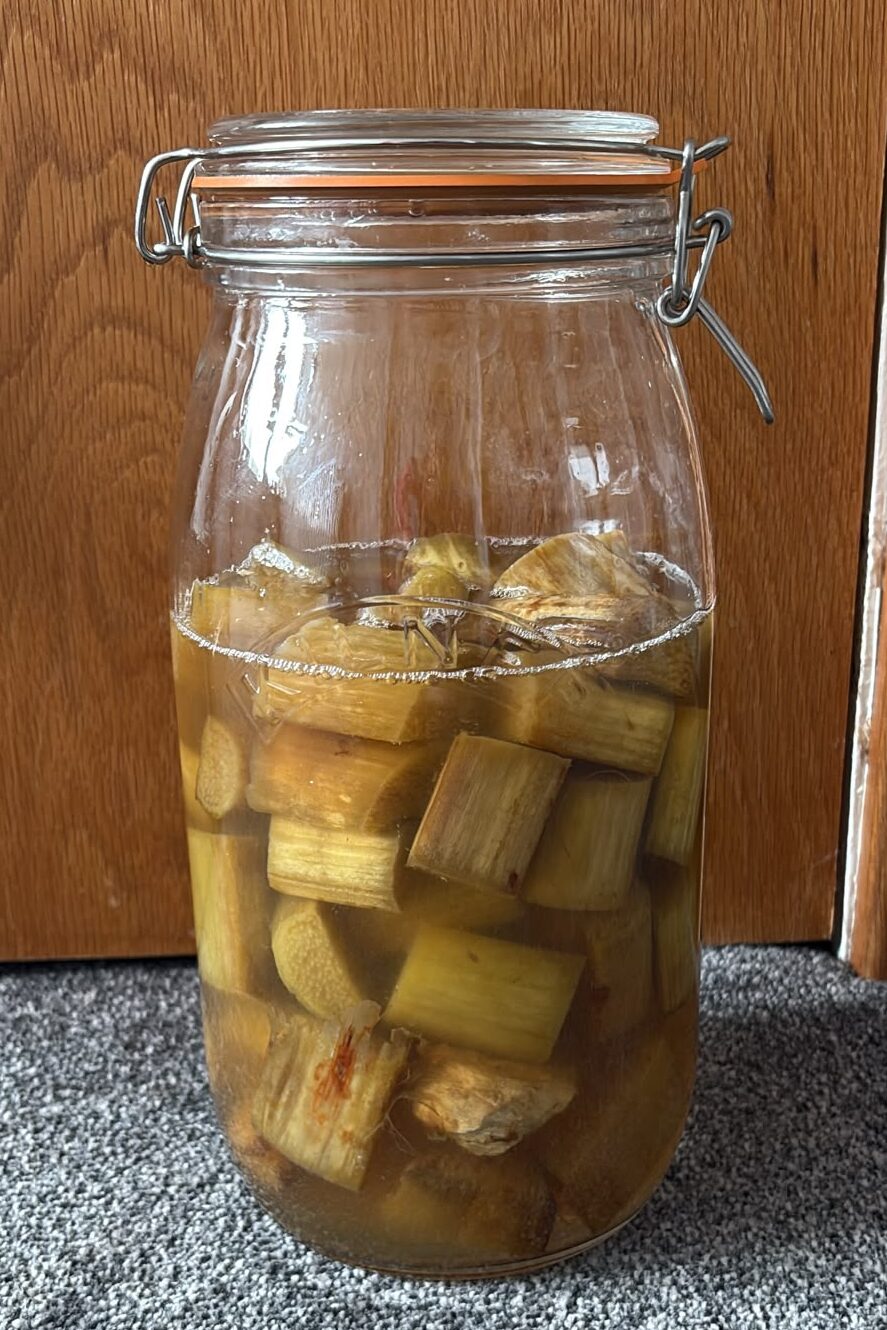 Homemade rhubarb and ginger gin